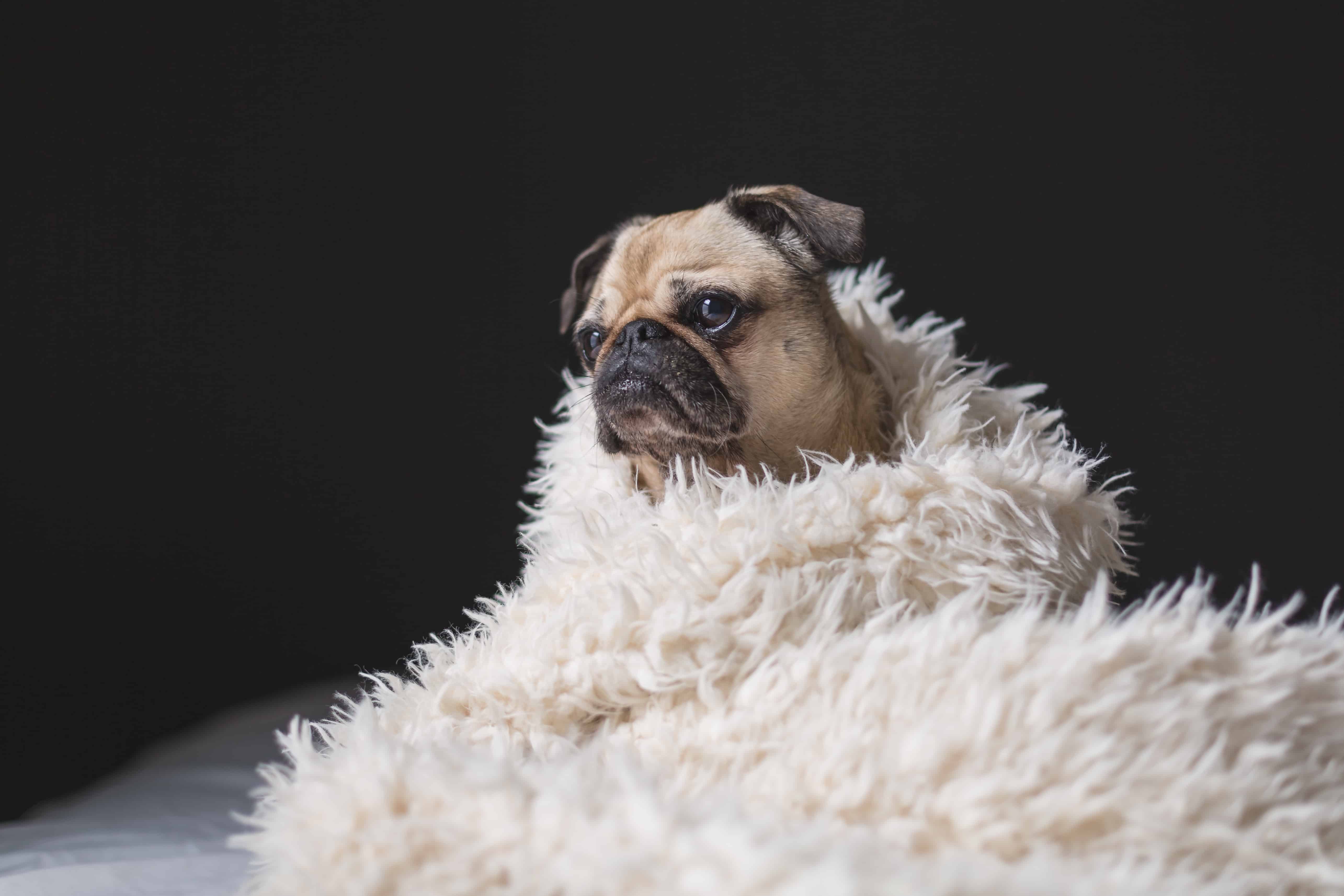 Looking for more restorative sleep? A weighted blanket can make the difference! Weighted blankets for adults can be a helpful tool to improve sleep.