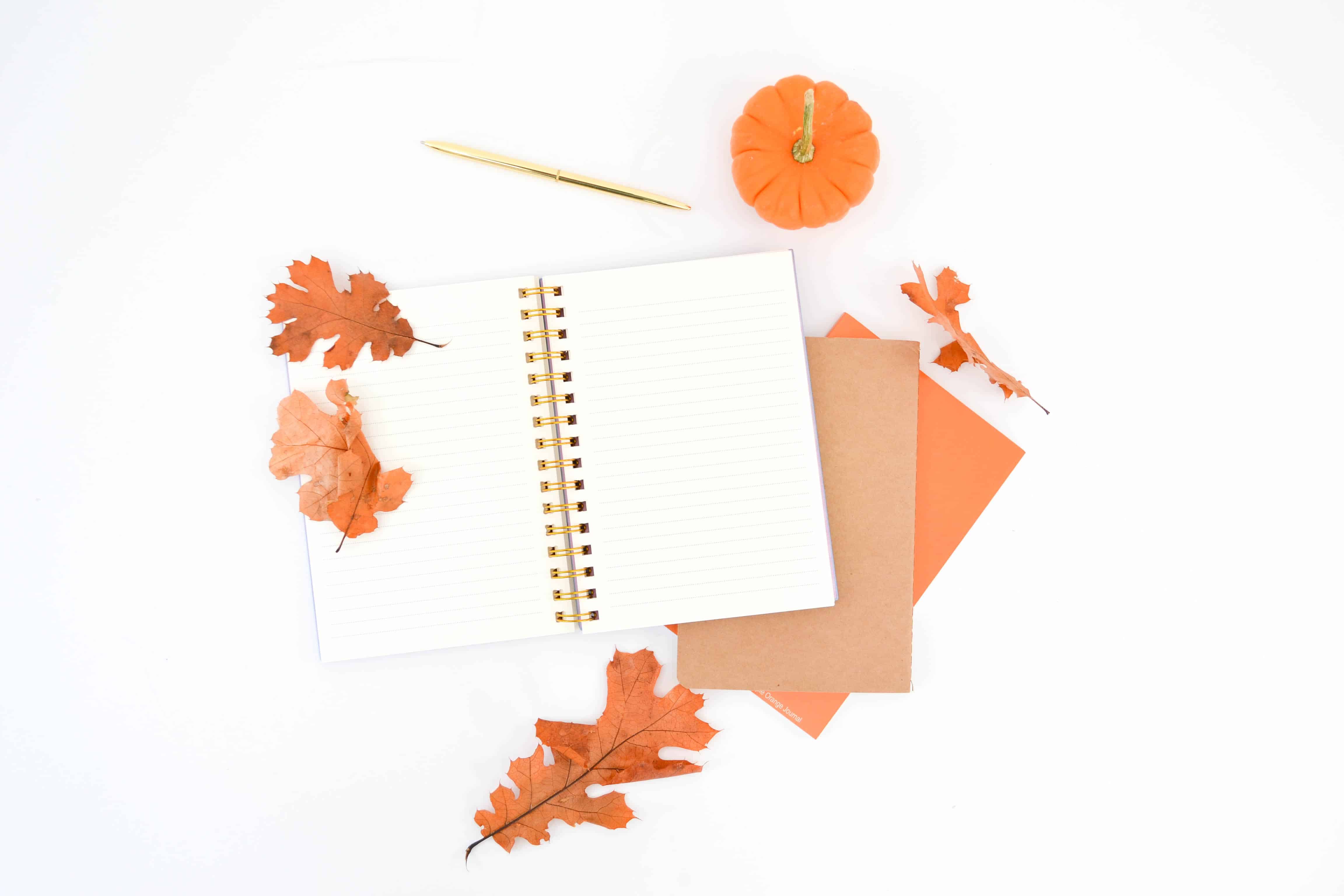 Using journaling prompts for depression and anxiety can help you stay focused and assess progress. Get journal writing ideas with monthly journal prompts delivered to you!